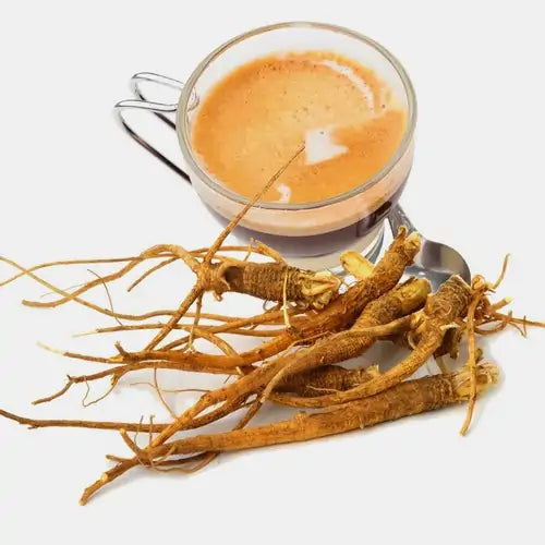 GINSENG Espresso Point Kapsel 50st von Caffe vero